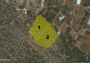 Sisi Pirgos Zwei große angrenzende Grundstücke mit Meerblick und Baugenehmigung, Sissi Grundstück kaufen